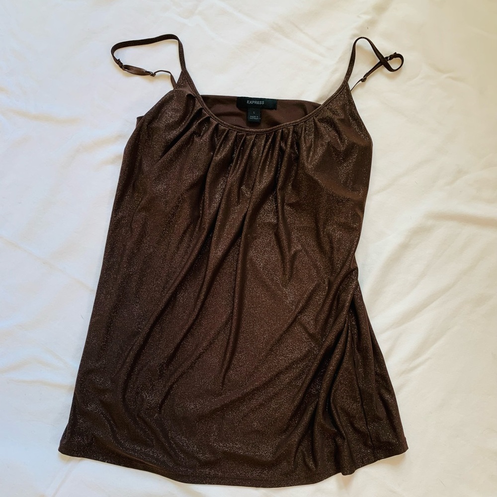 Express Shimmer Tank Top